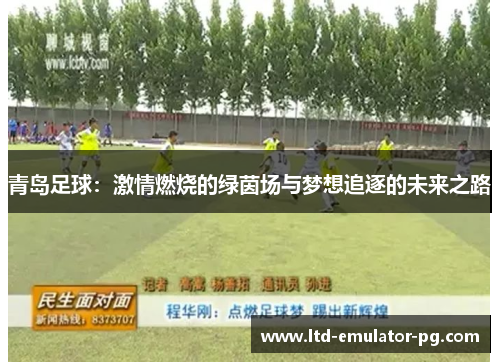 青岛足球：激情燃烧的绿茵场与梦想追逐的未来之路