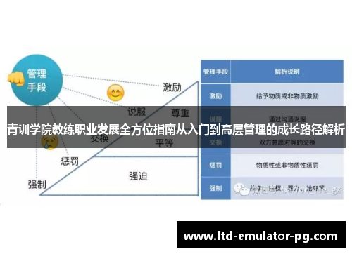 青训学院教练职业发展全方位指南从入门到高层管理的成长路径解析
