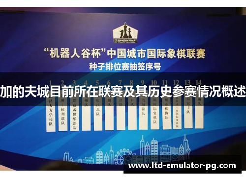 加的夫城目前所在联赛及其历史参赛情况概述 加的夫城目前所在联赛及其历史参赛情况概述
