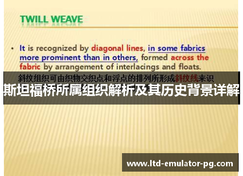 斯坦福桥所属组织解析及其历史背景详解